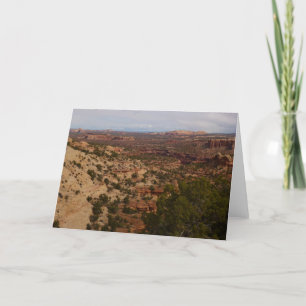 Carte Canyonlands Vue depuis le sentier Neck Springs