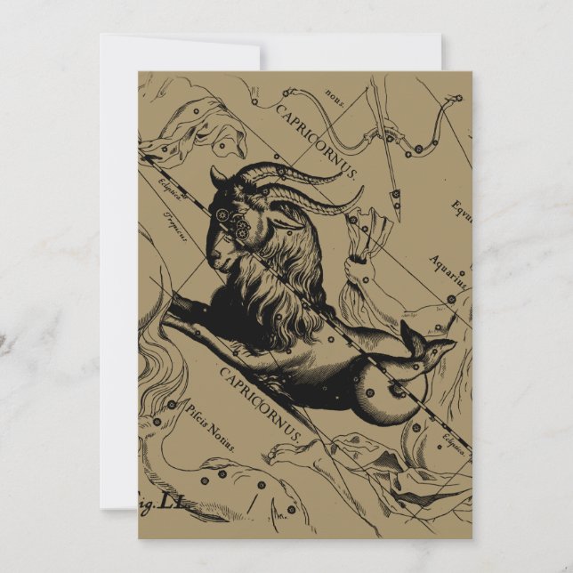 Carte Capricorne Constellation Hevelius 1690 sur Taupe (Devant)