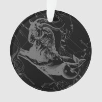 Carte Capricorne Constellation Hevelius Vintage 16