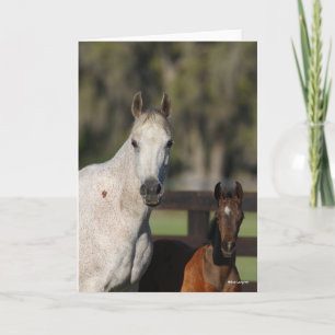 Carte Capture d'écran de Bob Langrish Arab Mare and Foie