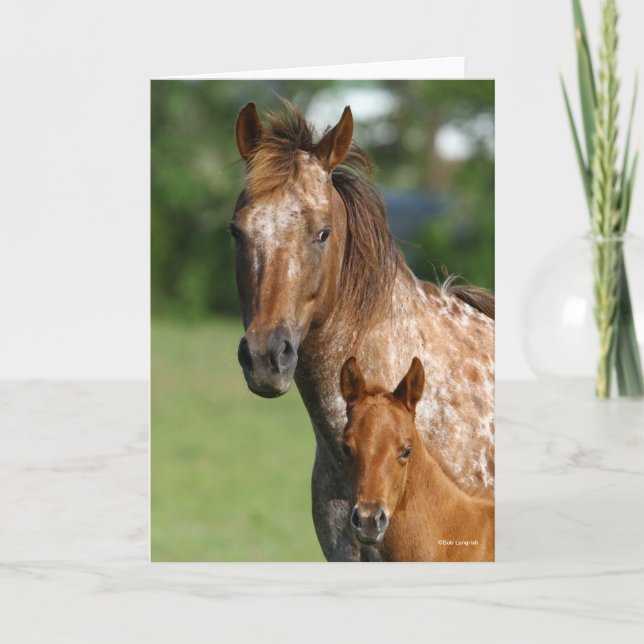 Carte Capture d'écran de l'Appaloosa Horse Mare et Foie (Devant)