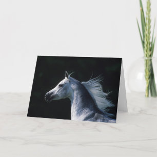 Carte Capture d'écran du cheval arabe 2