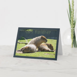 Carte Capy Birthday - Capybara Birthday Grey Card