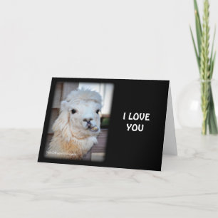 Carte Card