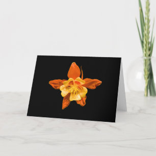 Carte Card, Scarlet and Red Columbine Blossom # 2646
