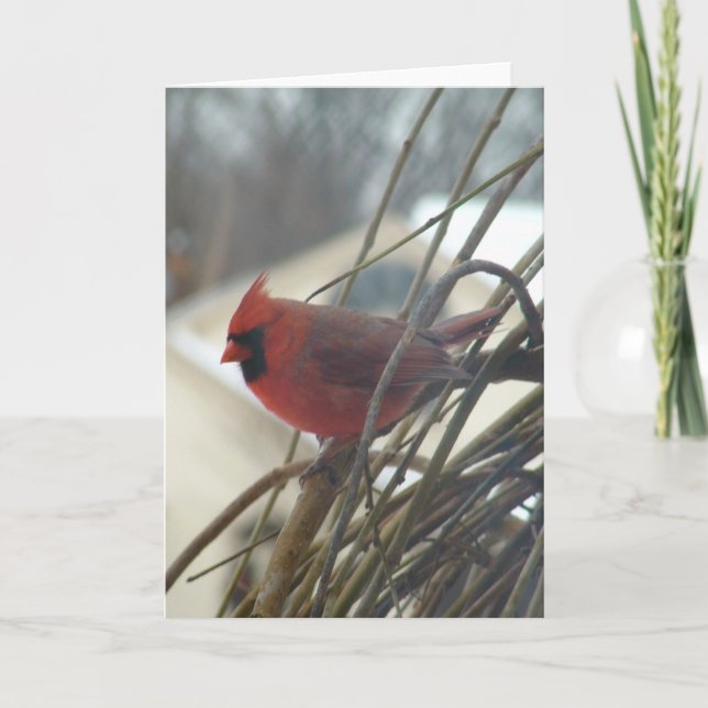 Carte Cardinal (Devant)