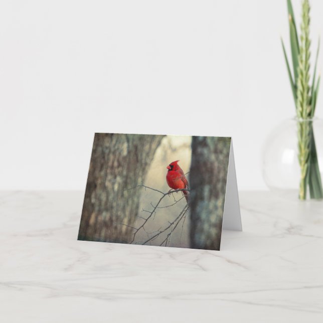 Carte Cardinal (Devant)