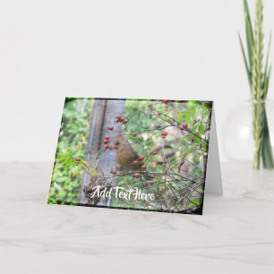 Carte Cardinal à Berry Branches hiver