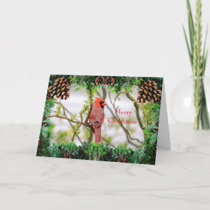 Carte Cardinal Christmas Card