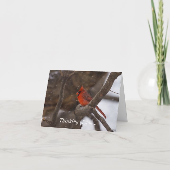 Carte Cardinal de la tempête de neige (Devant)