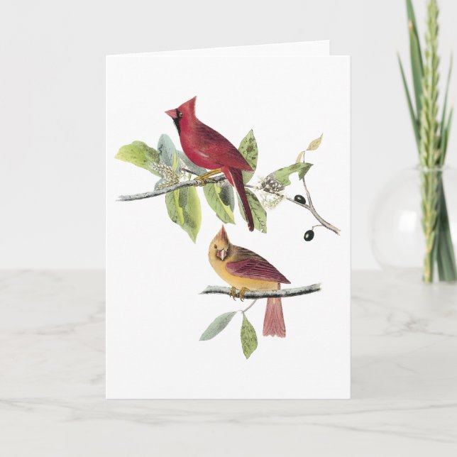 Carte Cardinal du nord d'Audubon (Devant)