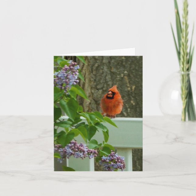 Carte Cardinal et Lilac (Devant)