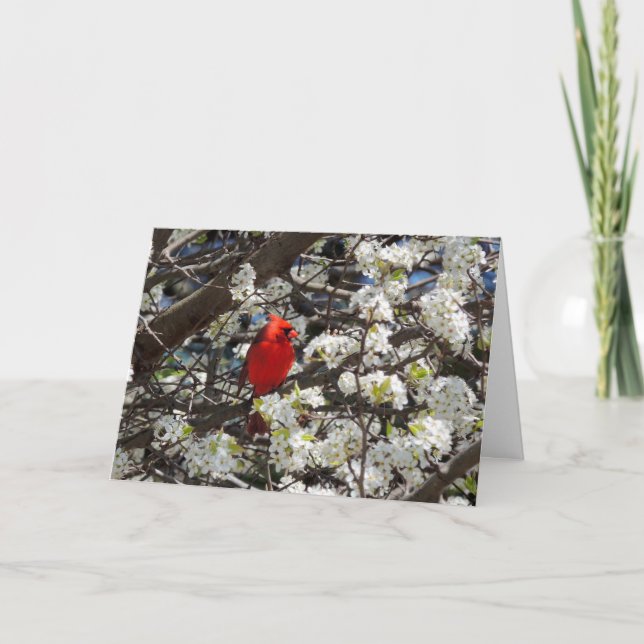 Carte Cardinal Grey Card (Devant)