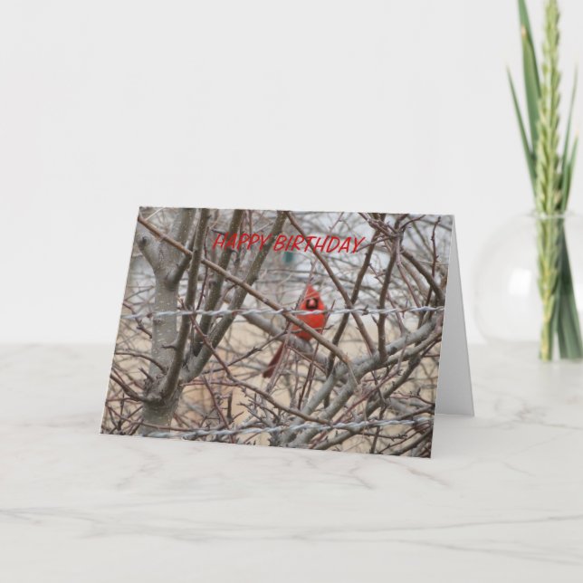 Carte Cardinal Rouge, Anniversaire Qu'Il Brille (Devant)