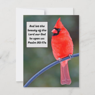 Carte Cardinal Rouge Merci Valentines Bird