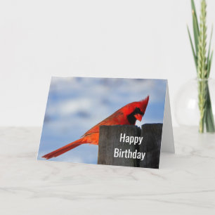 Carte Cardinal rouge sur bois de motte Joyeux anniversai