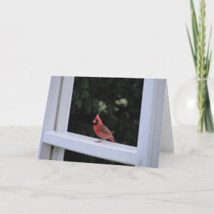 Carte Cardinal Rouge, Vous Manquez