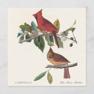 Carte Cardinals by John James Audubon