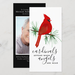 Carte Cardinaux Apparaissent Angels Photo Signet