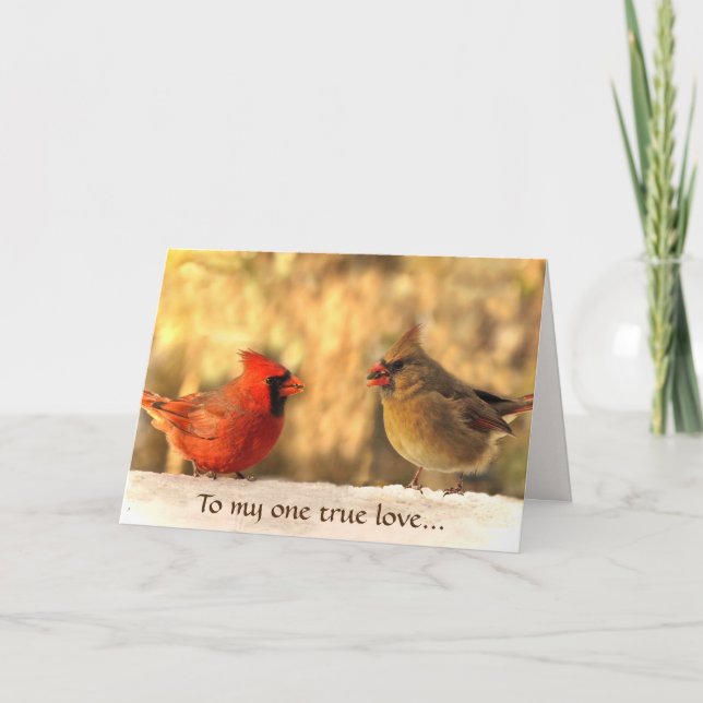 Carte Cardinaux dans l'anniversaire d'automne (Devant)