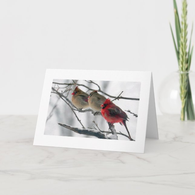 CARTE CARDINAUX SUR UN LIMB *BIEN* SOUHAITER (Devant)