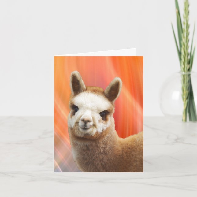 Carte Cards d'Alpaca Smiling (Devant)