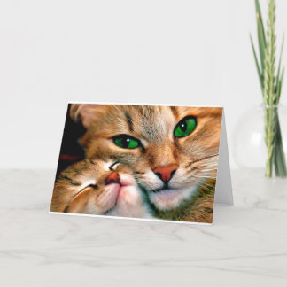 Carte Caresses de chat