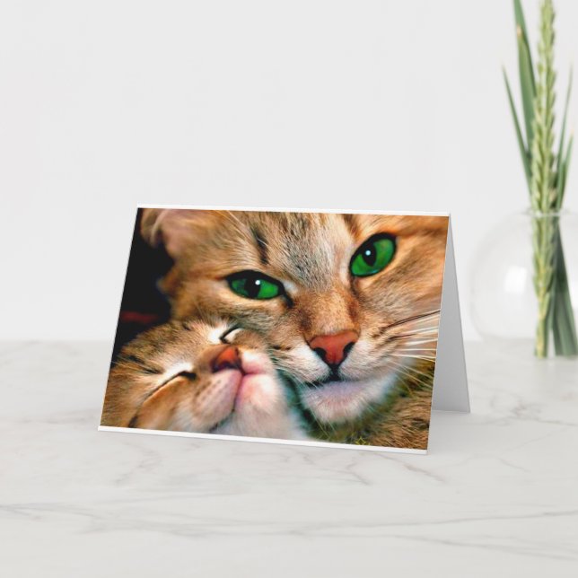 Carte Caresses de chat (Devant)