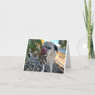 Carte Carlin anniversaire drôle