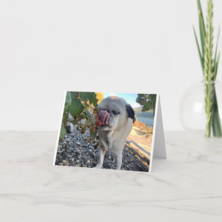 Carte Carlin anniversaire drôle