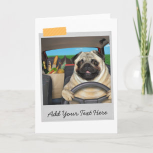 Carte Carlin Chien Conducteur de voiture Funny Card