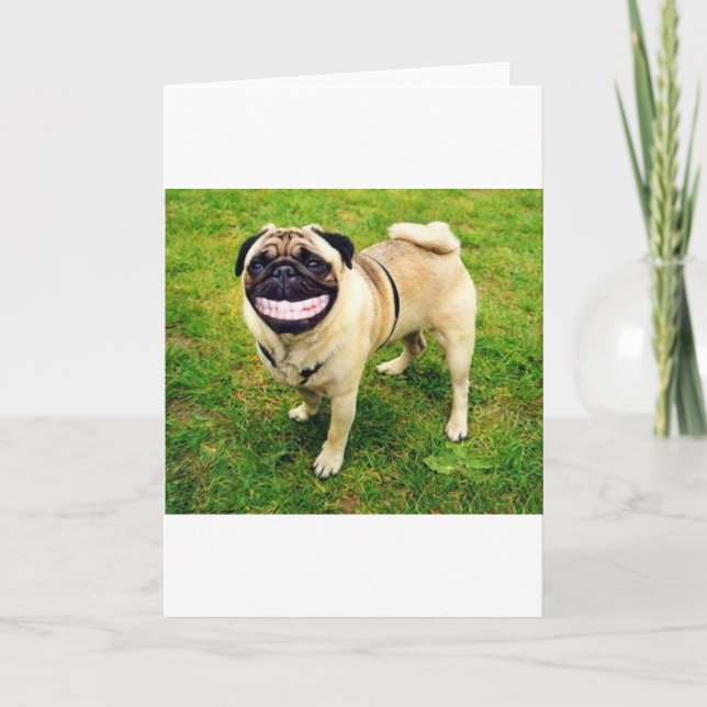 Carte carlin de sourire de chien mignon (Devant)
