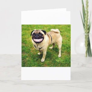 Carte carlin de sourire de chien mignon