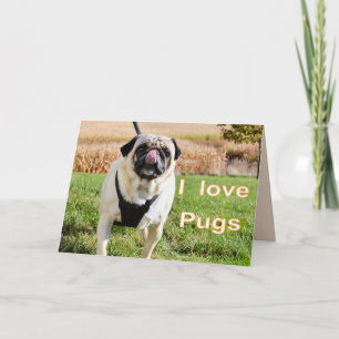 Carte Carlins d'amour
