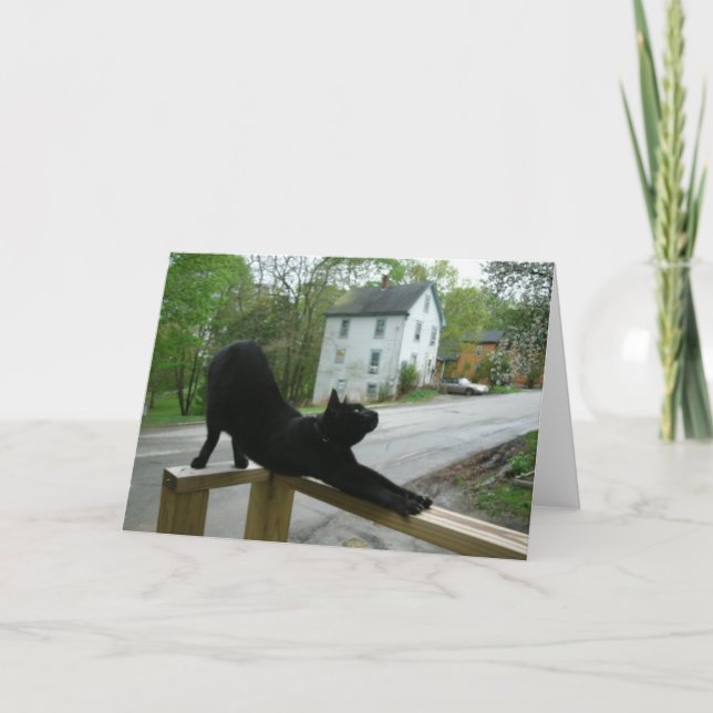 Carte Carnet de Cat Doing Morning (Devant)