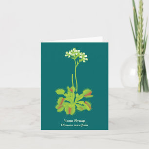 Carte Carnivore Plante Floral Art