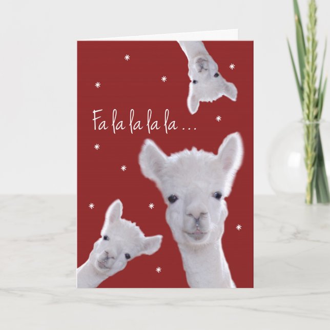Carte Carol de Noël humoristique, lamas et flocons (Devant)