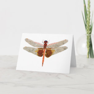 Carte Carolina Saddlebags Dragonfly