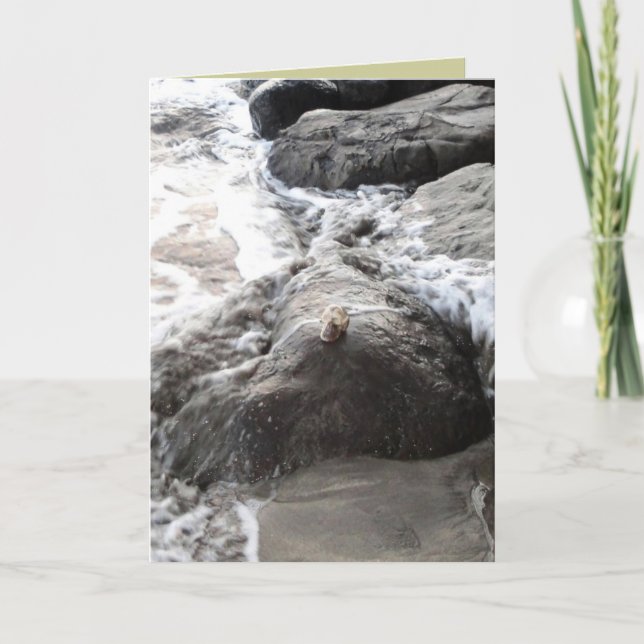 Carte Carpe Diem (Devant)