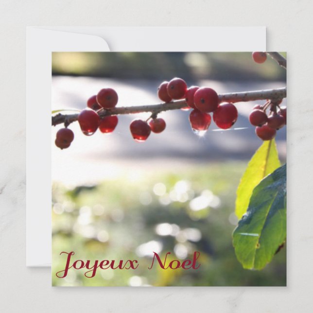 Carte Carré Joyeux Noel (Devant)