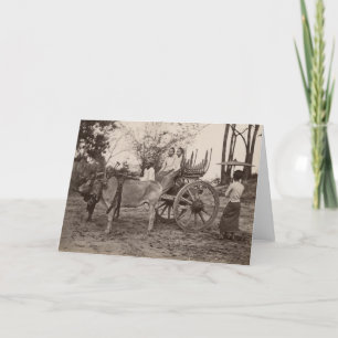 Carte Cart pulled by two oxen at Mandalay, Birmanie
