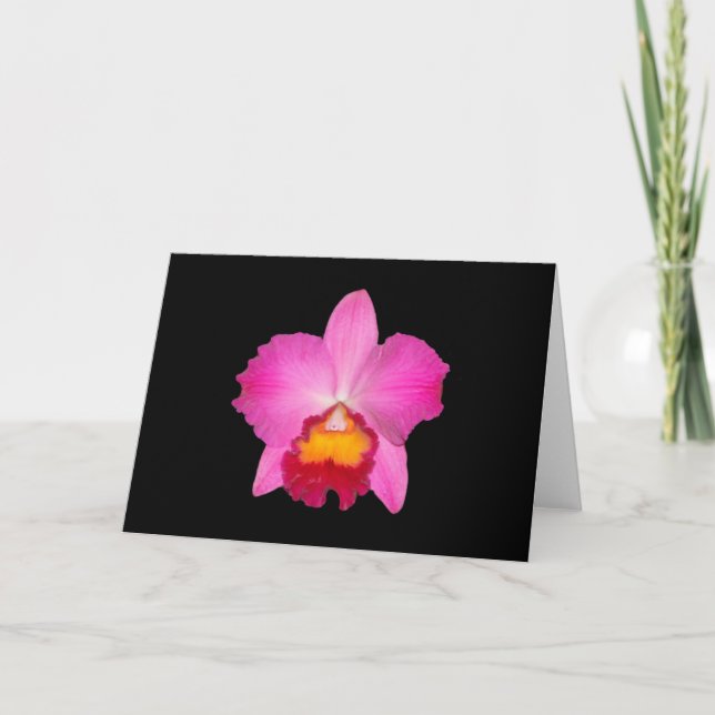 Carte Carte, cattleya rose. # 1781 (Devant)