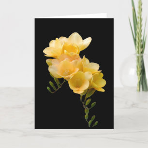 Carte Carte, freesia jaune # 1
