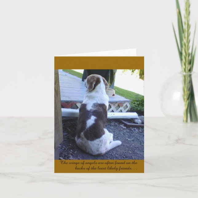 Carte - Carte Sympathy Card - Animal de compagnie (Devant)