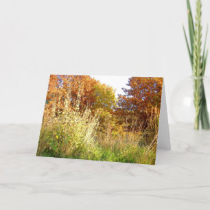 Carte Cas de Colors at Charter Oak Park, Peoria, IL