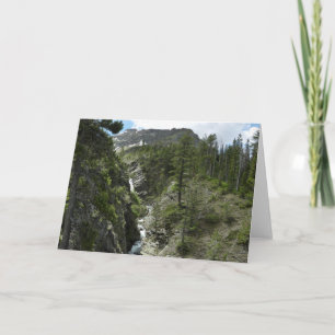 Carte Cascades et sommet d'Appistoki dans le parc nation