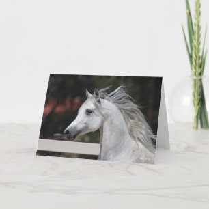 Carte Casque de Stallion arabe gris Mane Flower