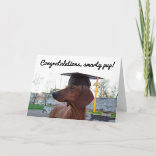 Carte Casquette de fin d'études 2017 et chien de charme