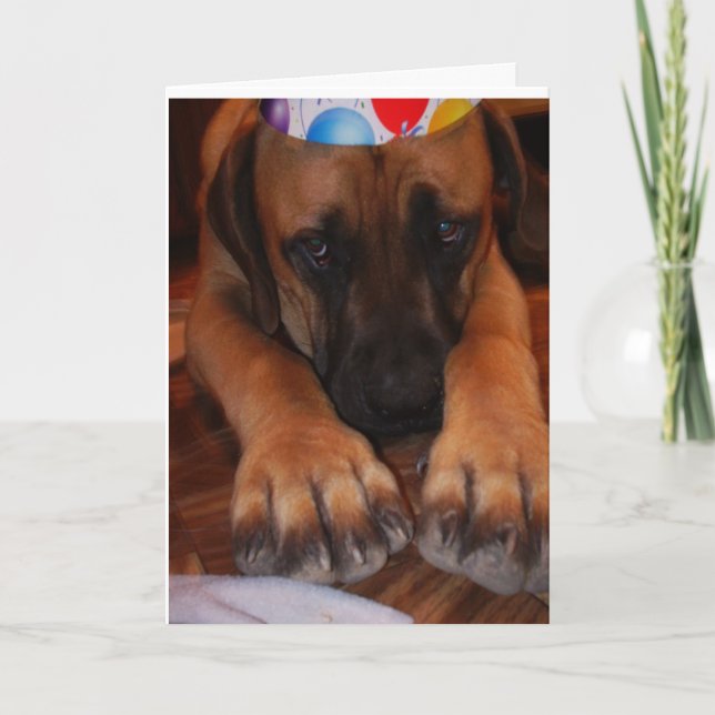 Carte Casquette de port de fête d'anniversaire de (Devant)