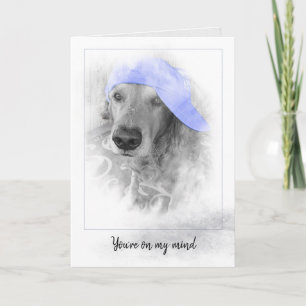 Carte casquette violet sur Golden Retriever dans cadre g
